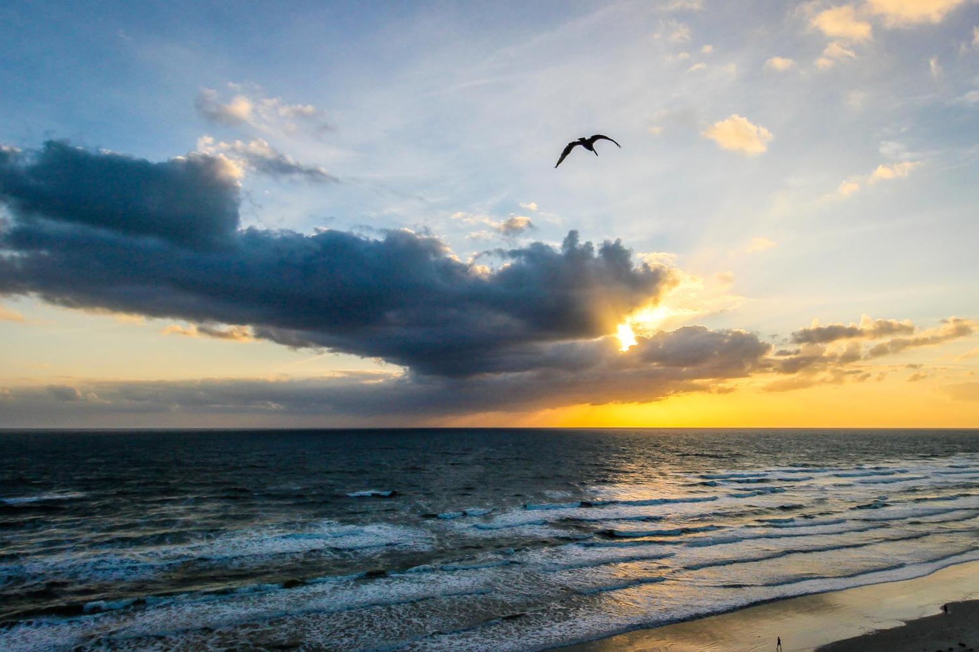 Harbour Beach Resort Daytona Beach Værelse billede